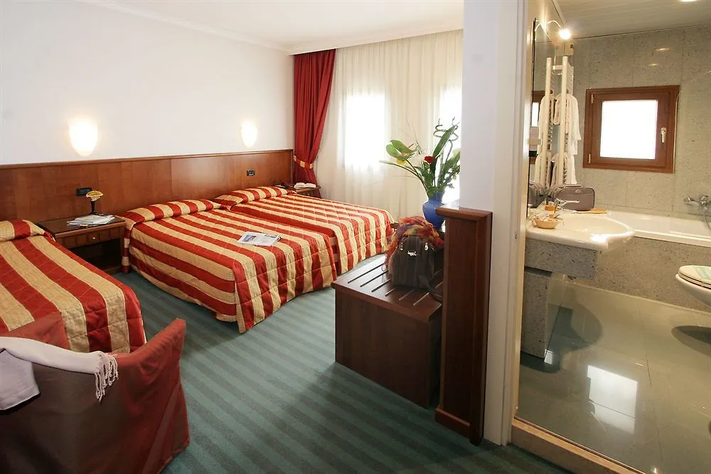 Hotel Antico Mulino Scorze 3*,